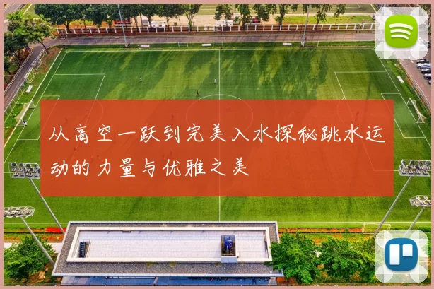 从高空一跃到完美入水探秘跳水运动的力量与优雅之美