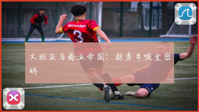 文班亚马商业帝国：新秀年吸金密码
