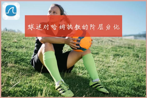 球迷对哈姆执教的阶层分化