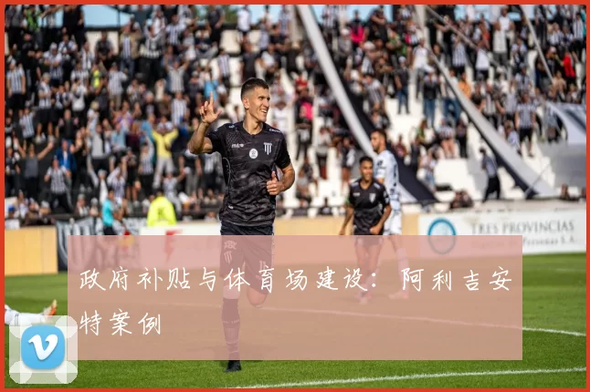 政府补贴与体育场建设：阿利吉安特案例